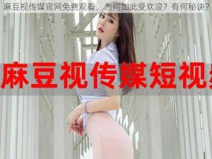 麻豆视传媒官网免费观看，为何如此受欢迎？有何秘诀？