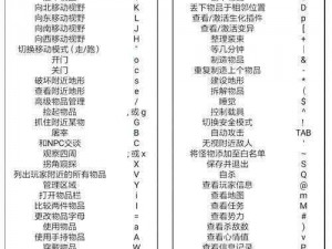 大灾变CDDA电池与烛台功能解析及新手常见解答指南