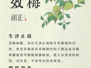 青梅令有什么作用？如何使用青梅令？青梅令适合哪些人群？