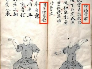 《一代宗师三大弟子武功融合之精妙技巧探讨》