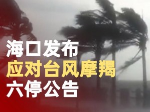 atlanticocean 巨大停止后又恢复，这是为什么？怎样造成的？又该如何应对？