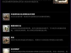 关于《英雄连2》阴影优化后期处理增强与声音质量提升策略的探讨