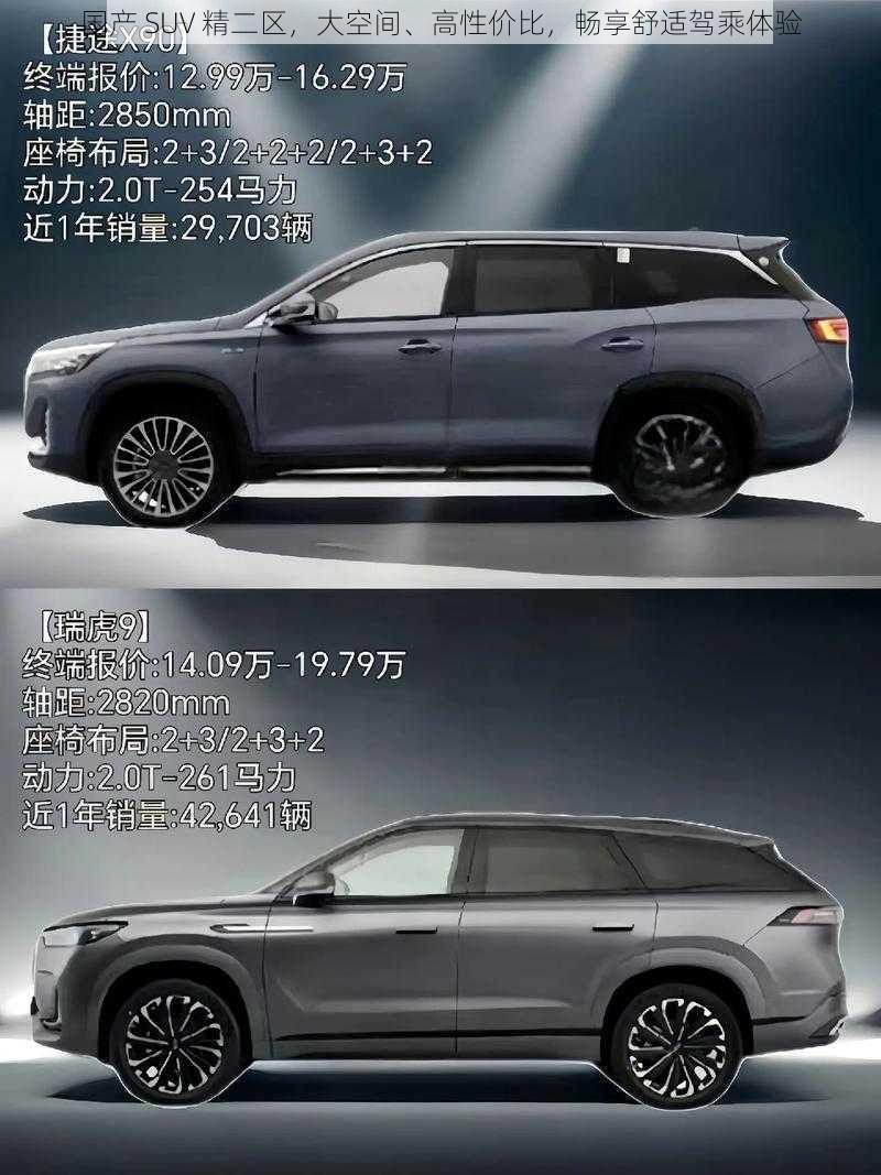 国产 SUV 精二区，大空间、高性价比，畅享舒适驾乘体验