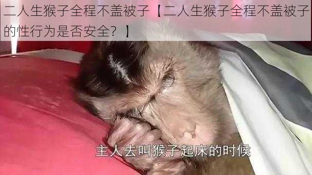 二人生猴子全程不盖被子【二人生猴子全程不盖被子的性行为是否安全？】