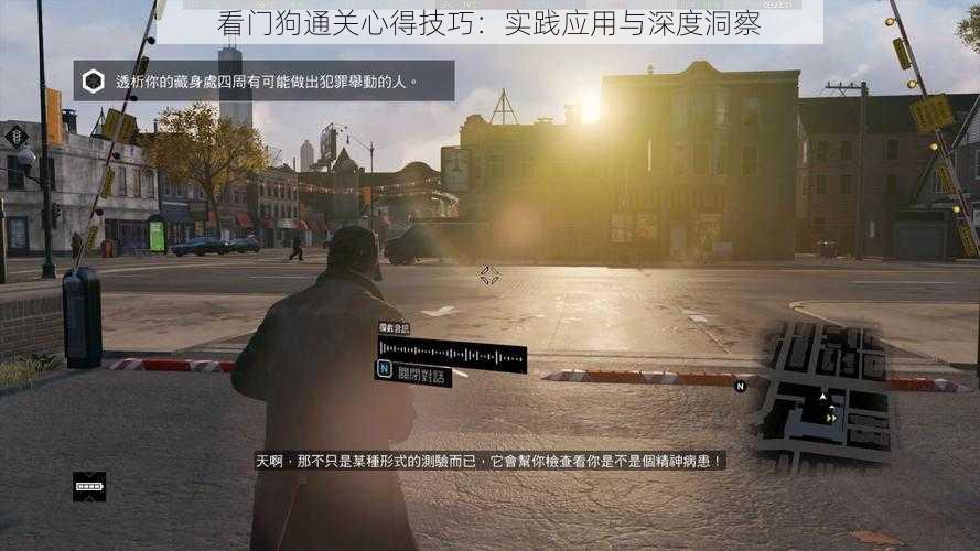 看门狗通关心得技巧：实践应用与深度洞察