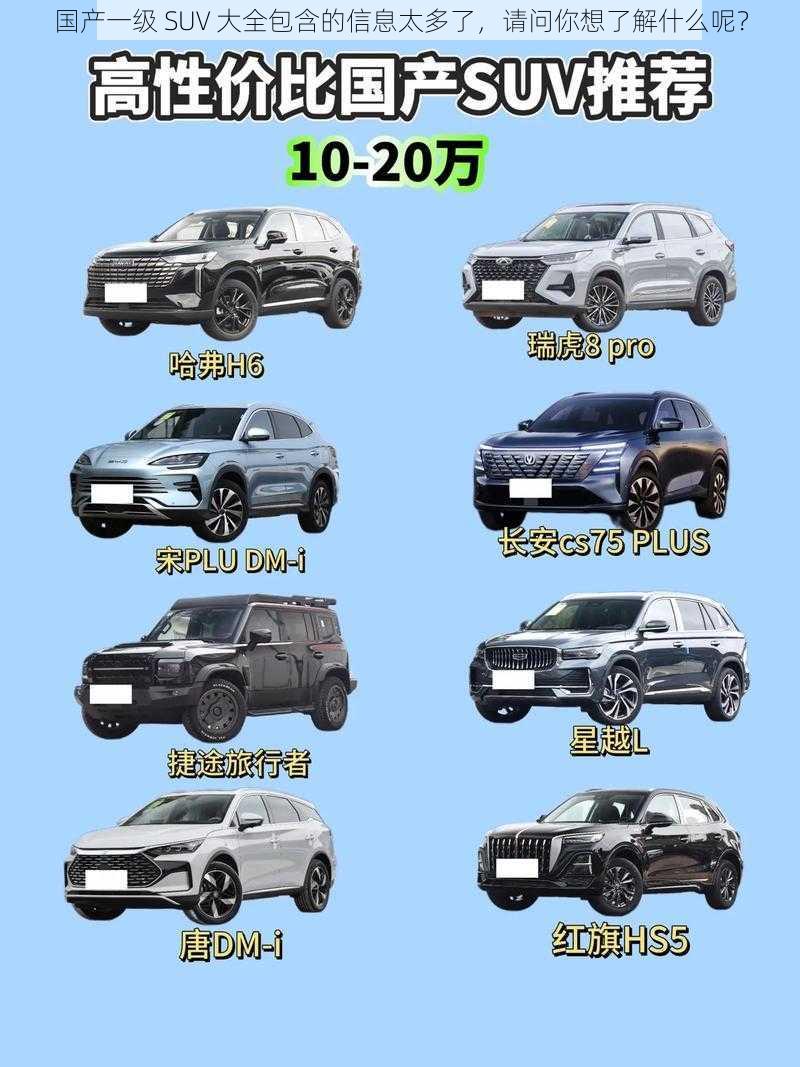 国产一级 SUV 大全包含的信息太多了，请问你想了解什么呢？