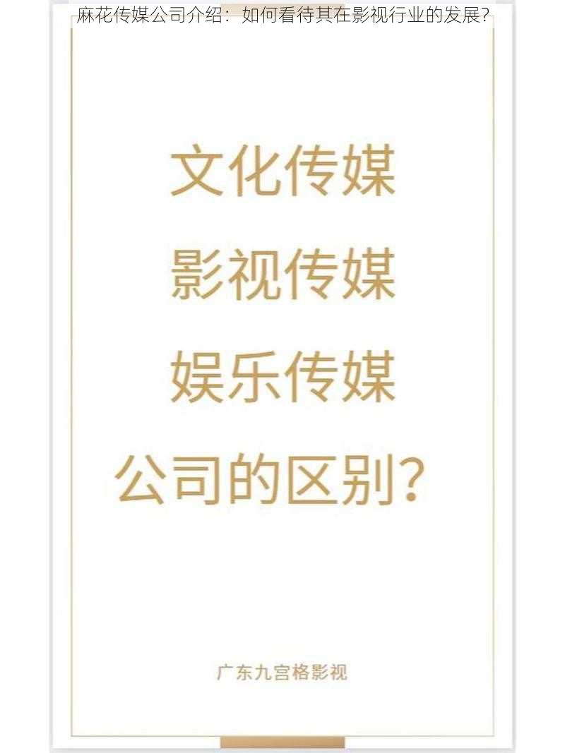 麻花传媒公司介绍：如何看待其在影视行业的发展？