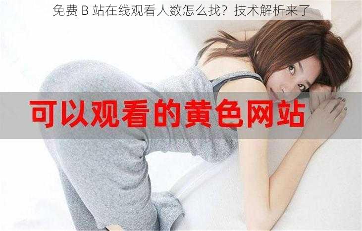 免费 B 站在线观看人数怎么找？技术解析来了