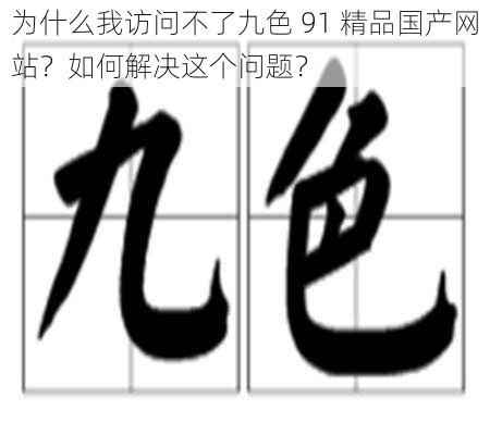 为什么我访问不了九色 91 精品国产网站？如何解决这个问题？