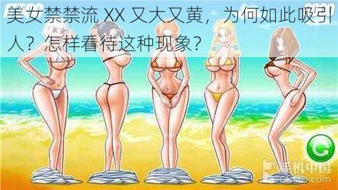 美女禁禁流 XX 又大又黄，为何如此吸引人？怎样看待这种现象？