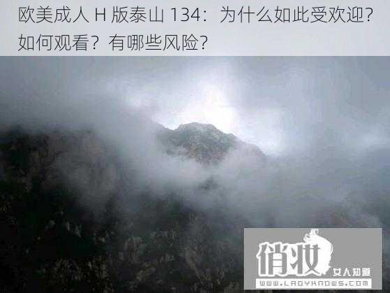 欧美成人 H 版泰山 134：为什么如此受欢迎？如何观看？有哪些风险？