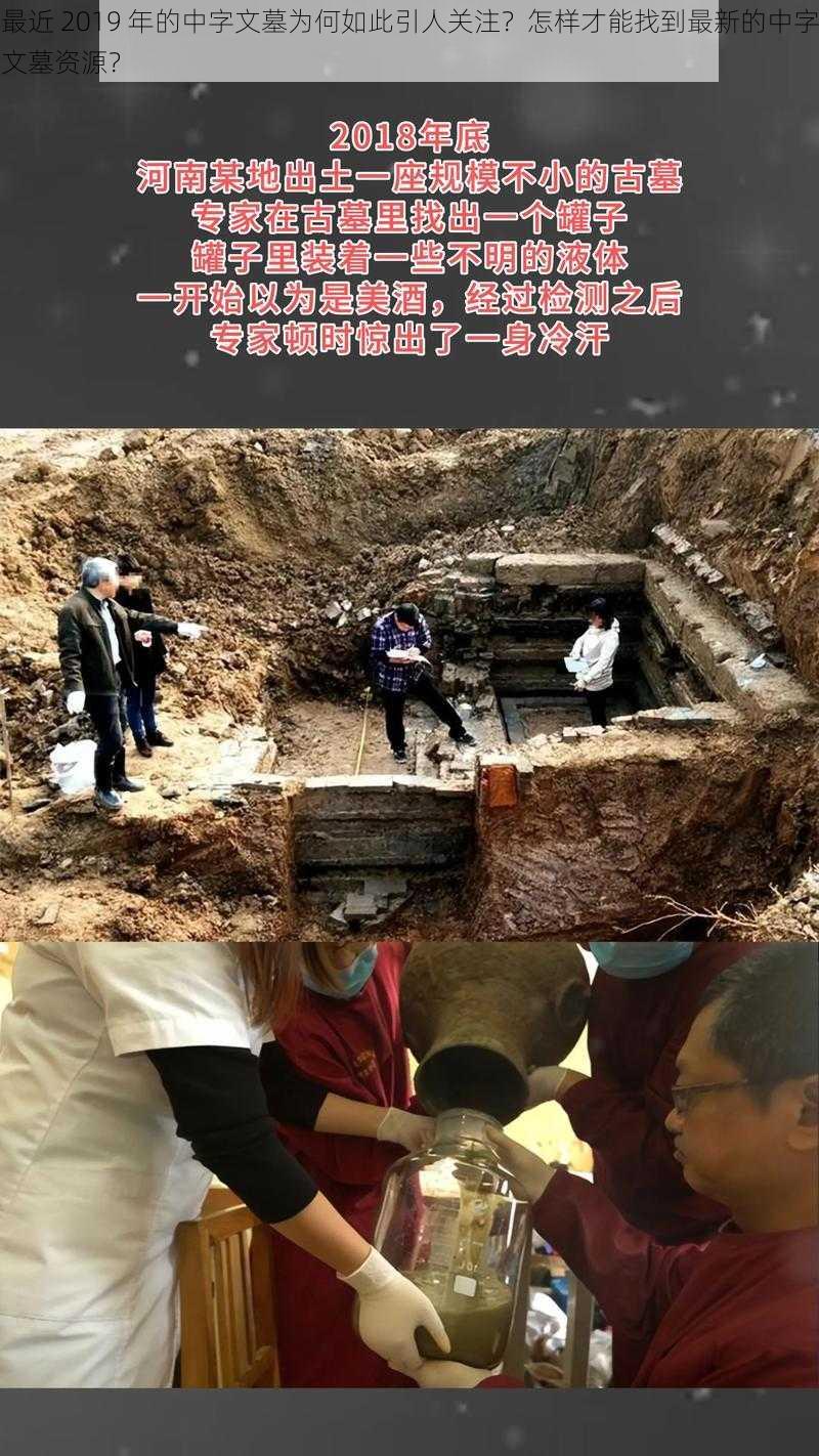 最近 2019 年的中字文墓为何如此引人关注？怎样才能找到最新的中字文墓资源？