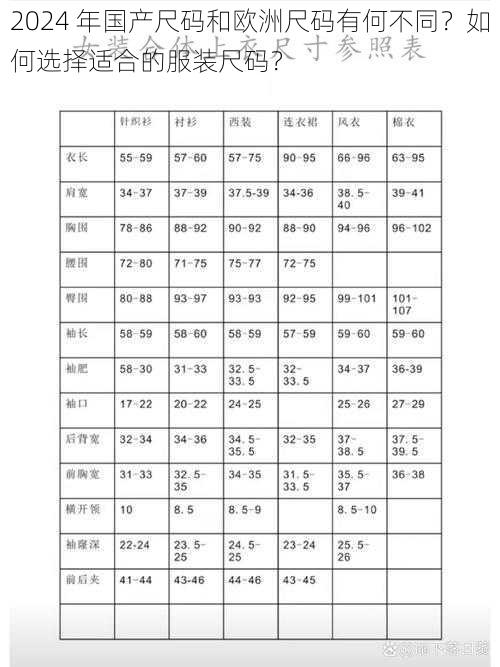 2024 年国产尺码和欧洲尺码有何不同？如何选择适合的服装尺码？