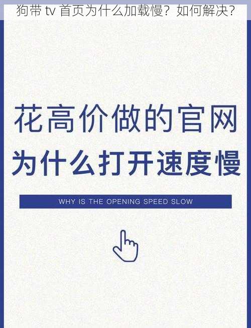 狗带 tv 首页为什么加载慢？如何解决？