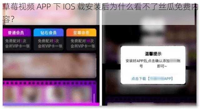 草莓视频 APP 下 IOS 载安装后为什么看不了丝瓜免费内容？