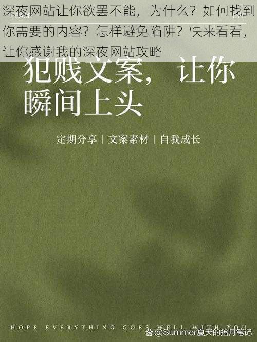 深夜网站让你欲罢不能，为什么？如何找到你需要的内容？怎样避免陷阱？快来看看，让你感谢我的深夜网站攻略