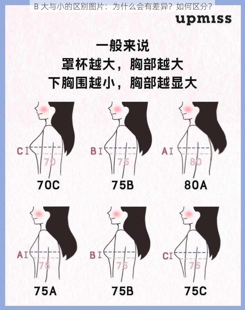 B 大与小的区别图片：为什么会有差异？如何区分？