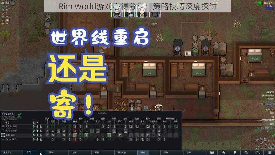 Rim World游戏心得分享：策略技巧深度探讨