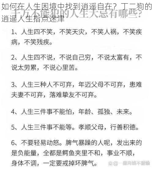 如何在人生困境中找到逍遥自在？丁二狗的逍遥人生指点迷津