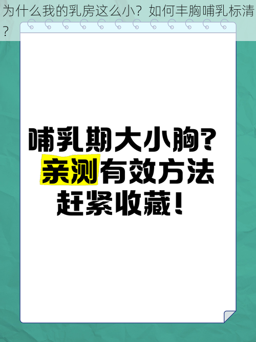 为什么我的乳房这么小？如何丰胸哺乳标清？