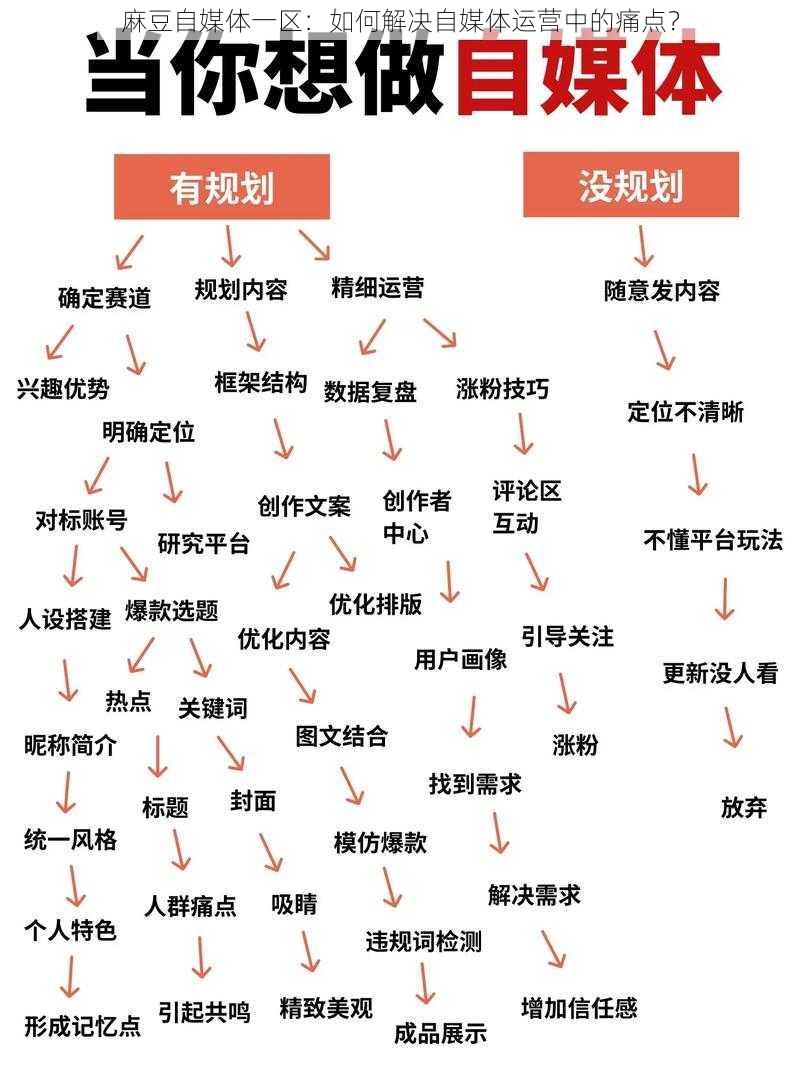 麻豆自媒体一区：如何解决自媒体运营中的痛点？