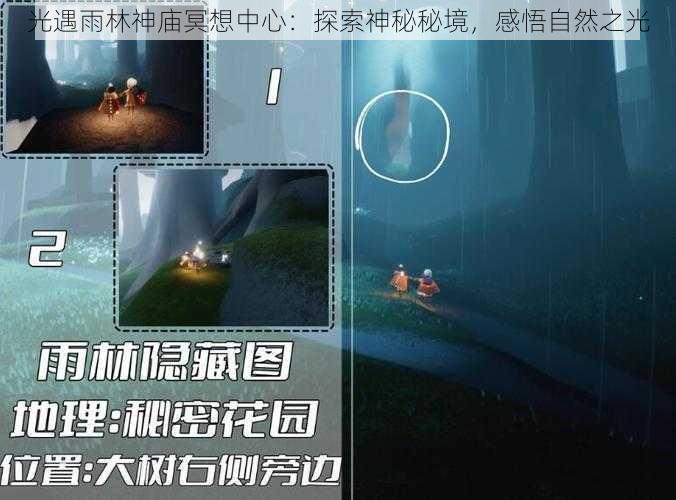 光遇雨林神庙冥想中心：探索神秘秘境，感悟自然之光